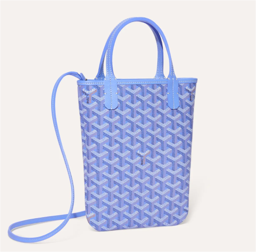 Goyard Poitiers Strap