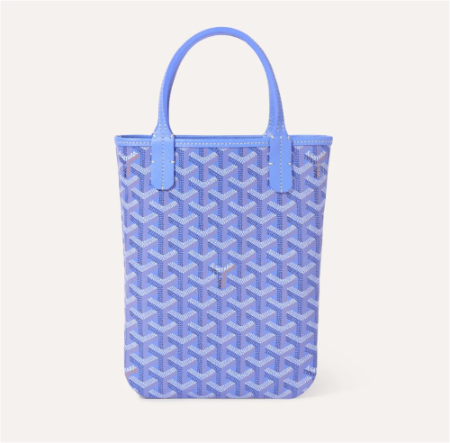 Goyard Poitiers Strap