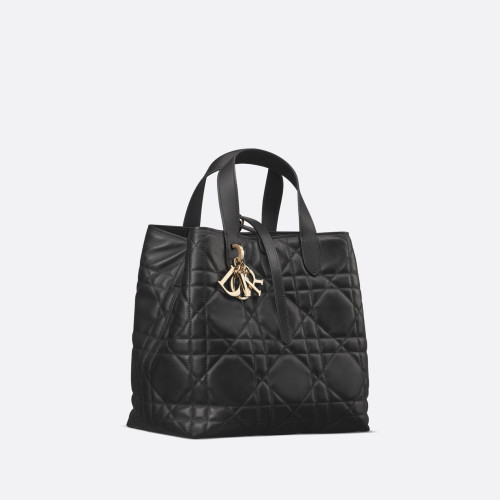 Dior Medium Dior Toujours Vertical Tote Bag