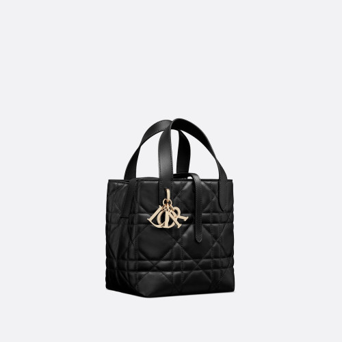 Dior Small Dior Toujours Vertical Tote Bag