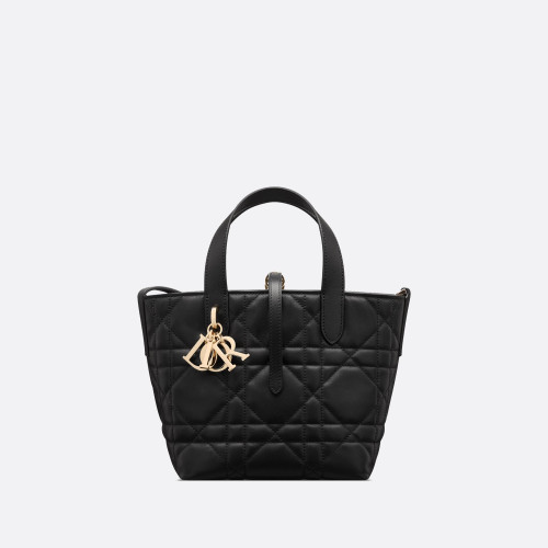 Dior Small Dior Toujours Vertical Tote Bag