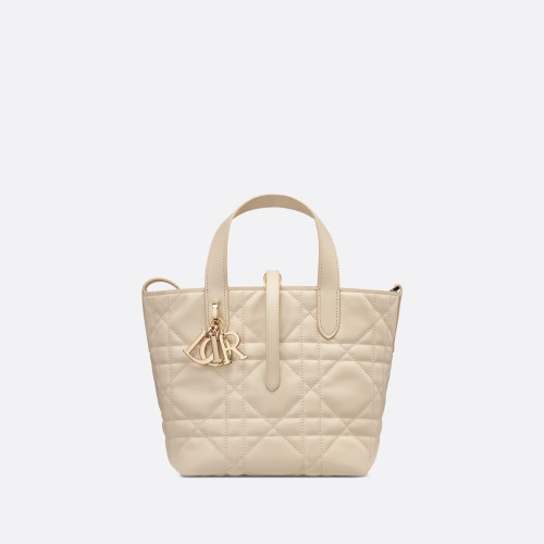 Dior Small Dior Toujours Vertical Tote Bag