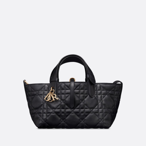 Dior Small Dior Toujours Bag