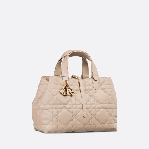Dior Medium Dior Toujours Bag