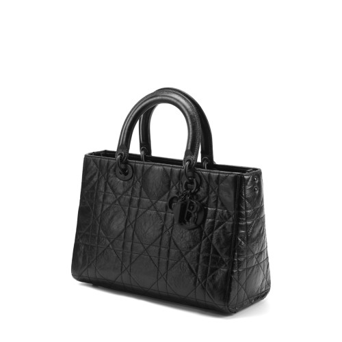 Dior medium Lady D-sire My ABCDior Bag