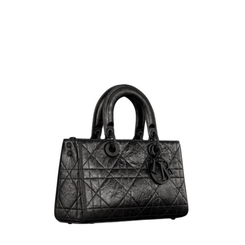 Dior Small Lady D-sire My ABCDior Bag