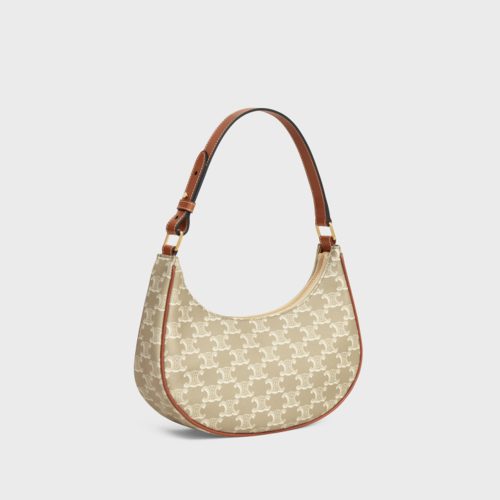 Celine Ava Bag in Triomphe Canvas and calfskin