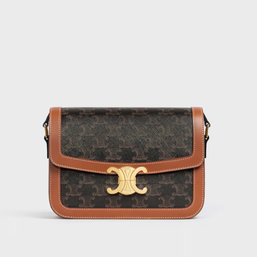 Celine Classique Triomphe Bag IN Triomphe Canvas and Calfskin