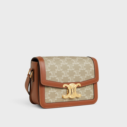 Celine Teen Triomphe Bag in Triomphe Canvas and calfskin