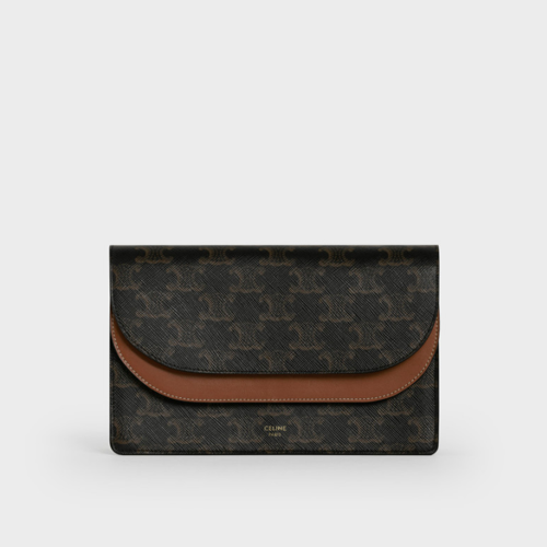 Celine Wallet on Strap in Triomphe Canvas and Smooth Lambskin