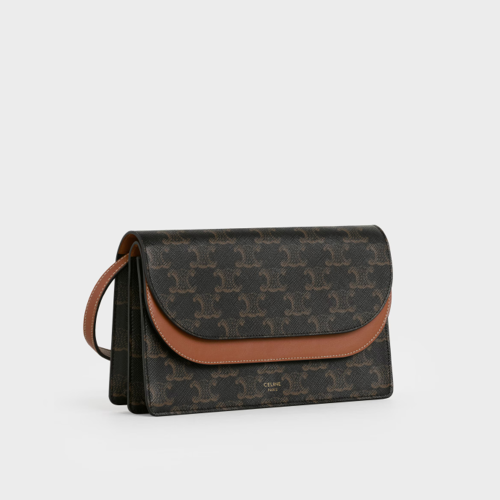 Celine Wallet on Strap in Triomphe Canvas and Smooth Lambskin