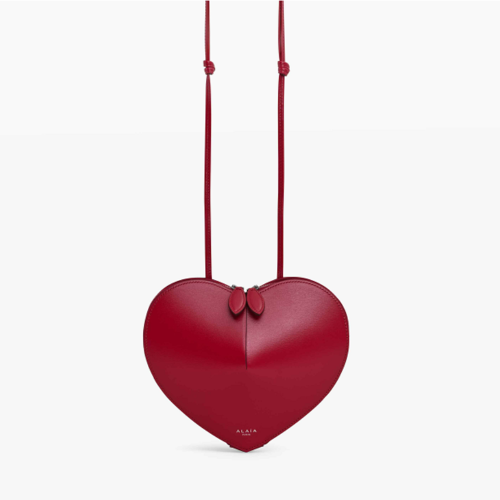 ALAIA Le Teckel Small Bag IN LEATHER