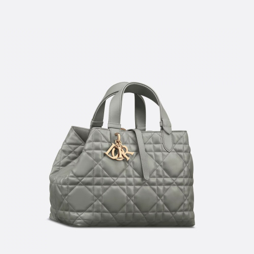 Dior Medium Dior Toujours Bag