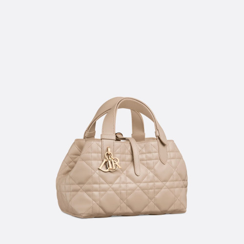 Dior Small Dior Toujours Bag