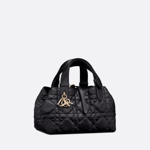 Dior Small Dior Toujours Bag