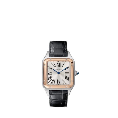Cartier Santos-Dumont watch