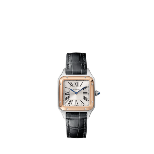 Cartier Santos-Dumont watch