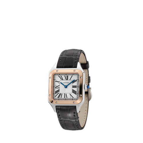Cartier Santos-Dumont watch