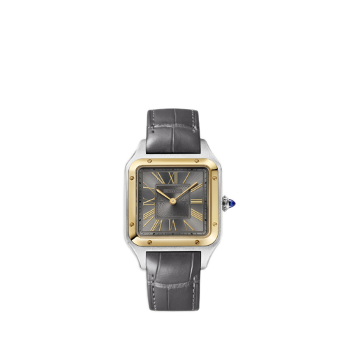 Cartier Santos-Dumont watch