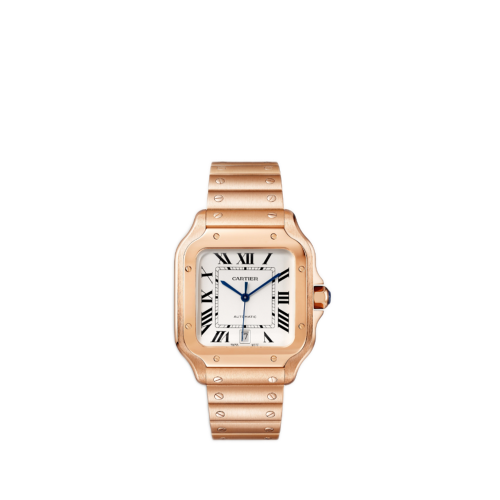 Cartier Santos de Cartier watch