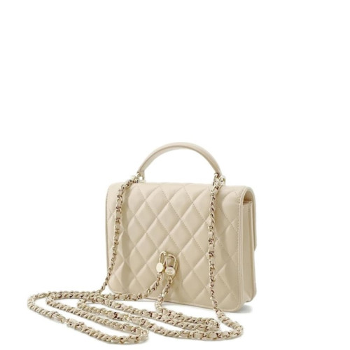 CHANEL CLUTCH WITH CHAIN