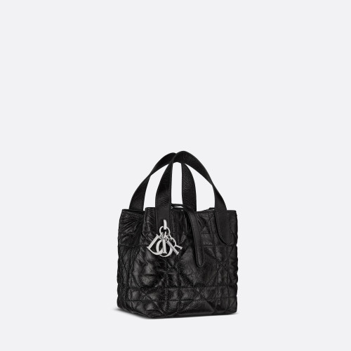 Dior Toujours Vertical Nano Tote Bag