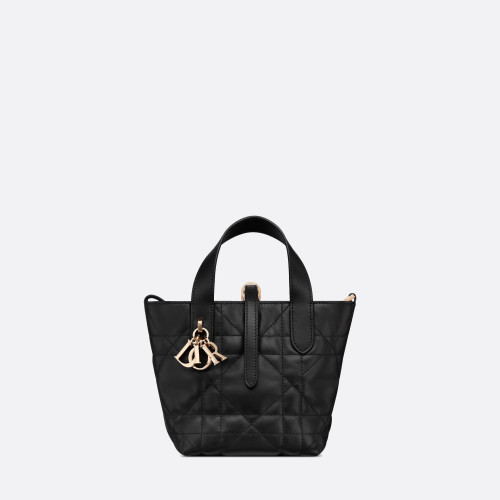 Dior Toujours Vertical Nano Tote Bag