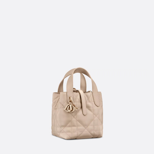 Dior Toujours Vertical Nano Tote Bag