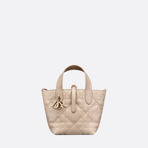 Dior Toujours Vertical Nano Tote Bag