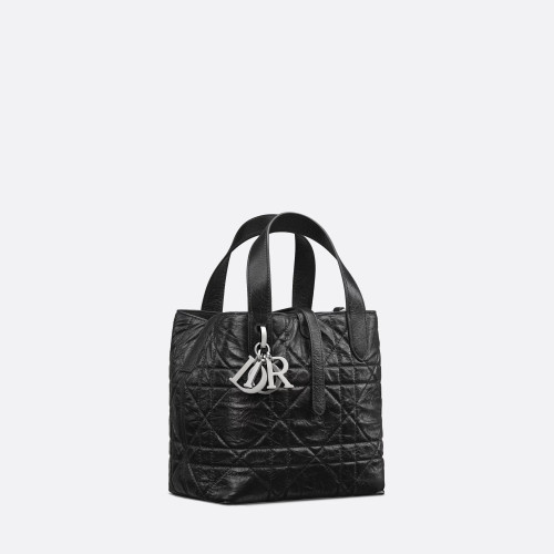 Dior Small Dior Toujours Vertical Tote Bag