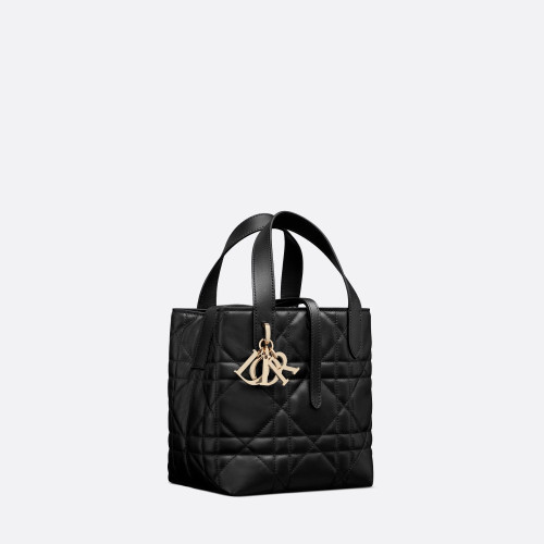 Dior Small Dior Toujours Vertical Tote Bag
