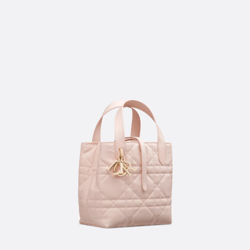 Dior Small Dior Toujours Vertical Tote Bag