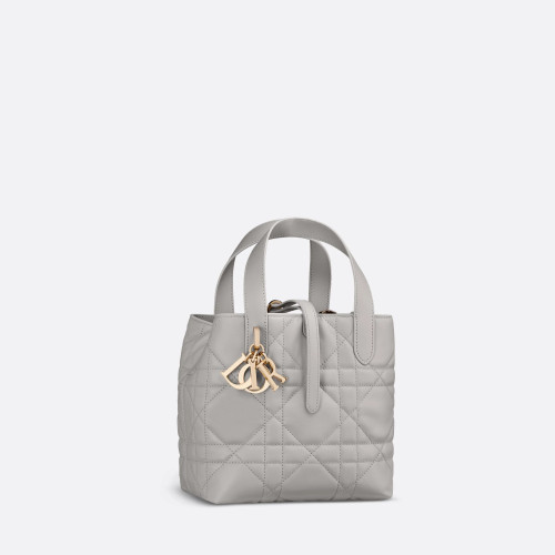Dior Small Dior Toujours Vertical Tote Bag