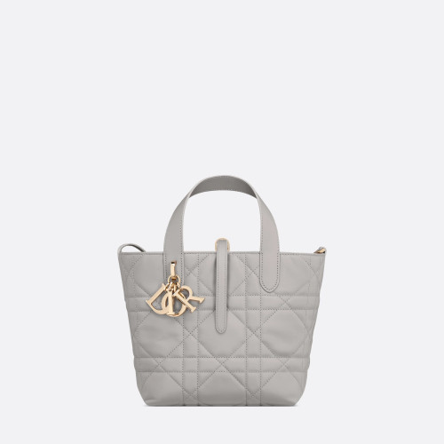 Dior Small Dior Toujours Vertical Tote Bag