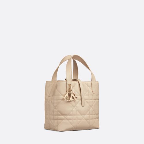 Dior Small Dior Toujours Vertical Tote Bag