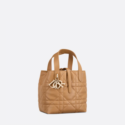 Dior Small Dior Toujours Vertical Tote Bag