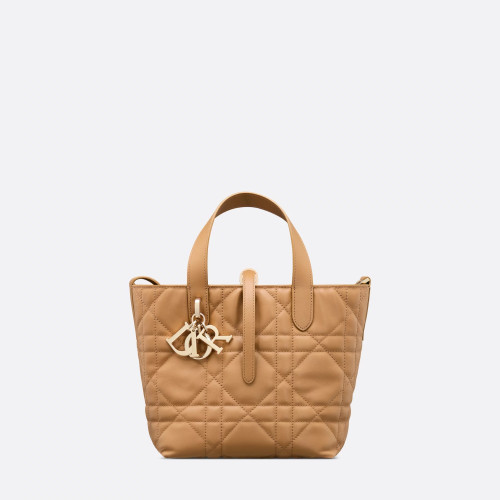 Dior Small Dior Toujours Vertical Tote Bag