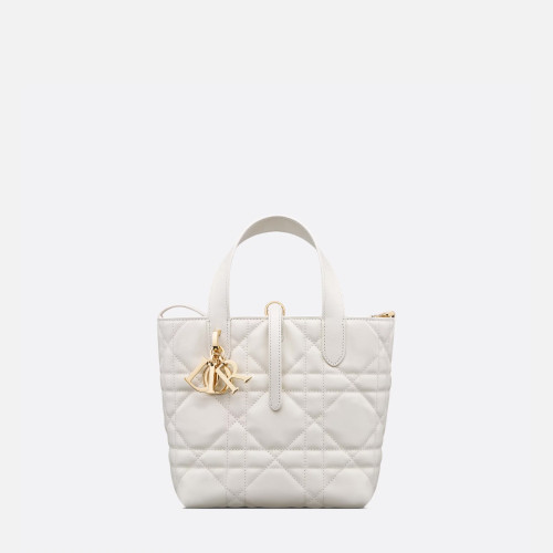 Dior Small Dior Toujours Vertical Tote Bag