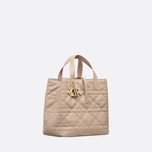 Dior Medium Dior Toujours Vertical Tote Bag