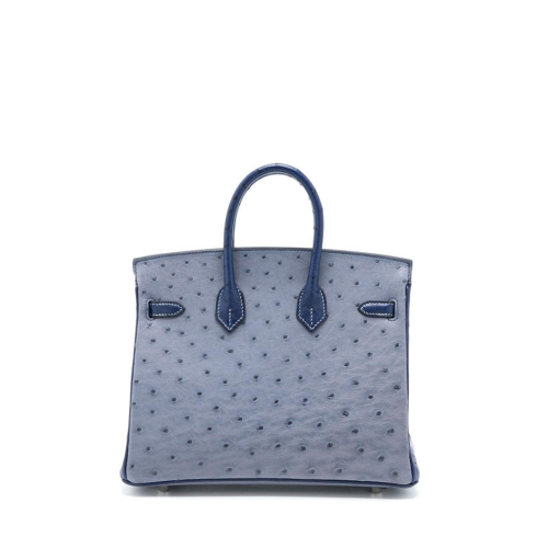 Hermes Birkin 25 Ostrich Gris agete Blue Iris Silver