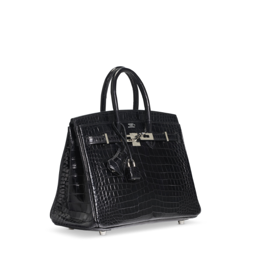 Hermes Birkin 25 Porosus Noir Silver