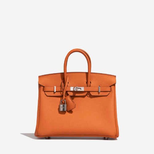 Hermes Birkin 25 Togo Orange Silver