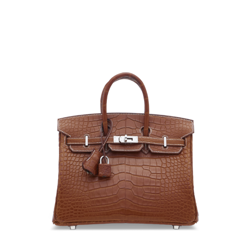 Hermes Birkin 25 Matt Alligator Barenia Silver