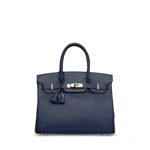 Hermes Birkin 25 Ostrich Blue Iris Silver