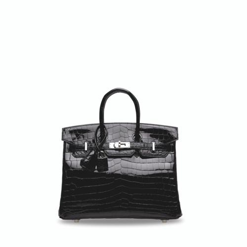 Hermes Birkin 25 Glossy Nile Crocodile Noir Silver