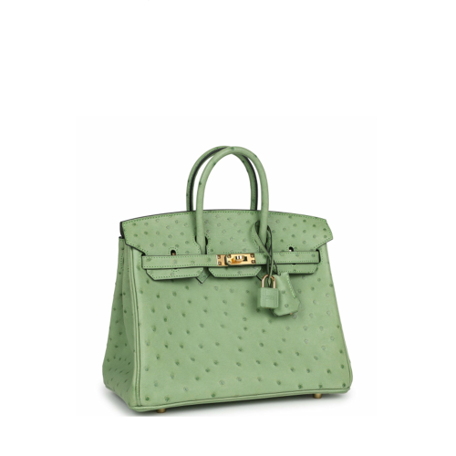 Hermes Birkin 25 Ostrich Vert Criquet Gold