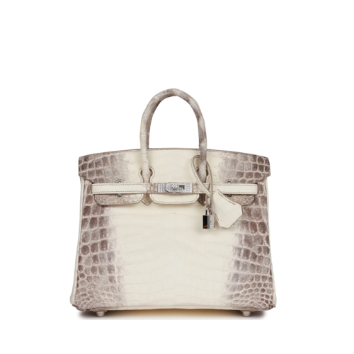 Hermes Birkin 25 Himalaya Diamond