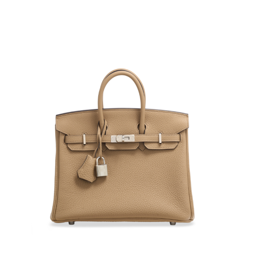 Hermes Birkin 25 Togo Chai Silver