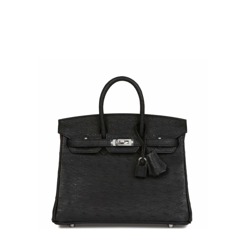 Hermes Birkin 25 Ostrich Noir Silver