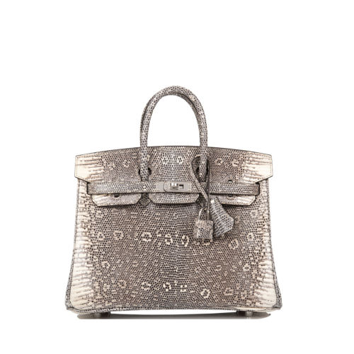 Hermes Birkin 25 Lizard Silver